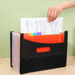 Expanding File Folder 12 Pockets
