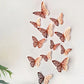JJYY 12Pcs 3D Hollow Butterfly Wall Stickers