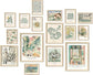 Sage Green Framed Wall Art - 16 PCS Set